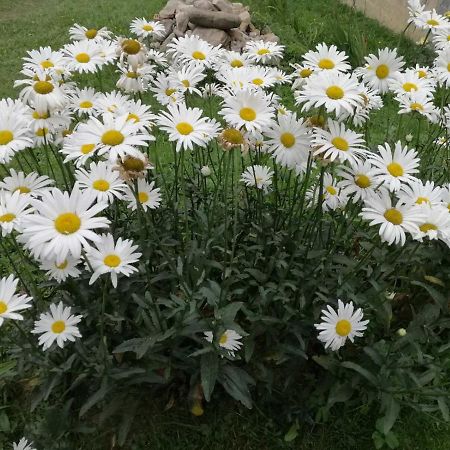 Marichka Otel Yablunytsia Dış mekan fotoğraf