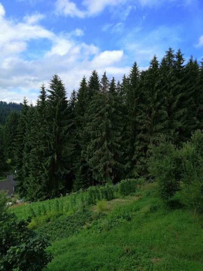 Marichka Otel Yablunytsia Dış mekan fotoğraf